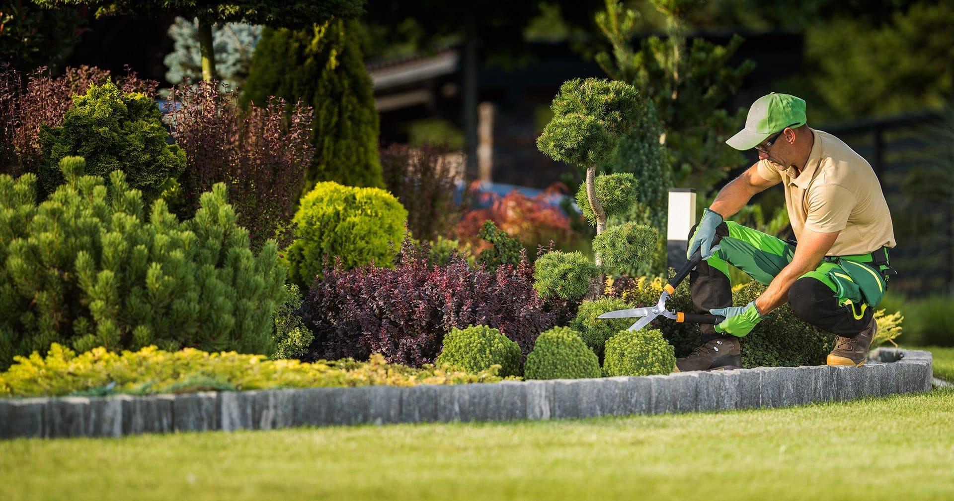 Personalized Garden & Landscape Solutions