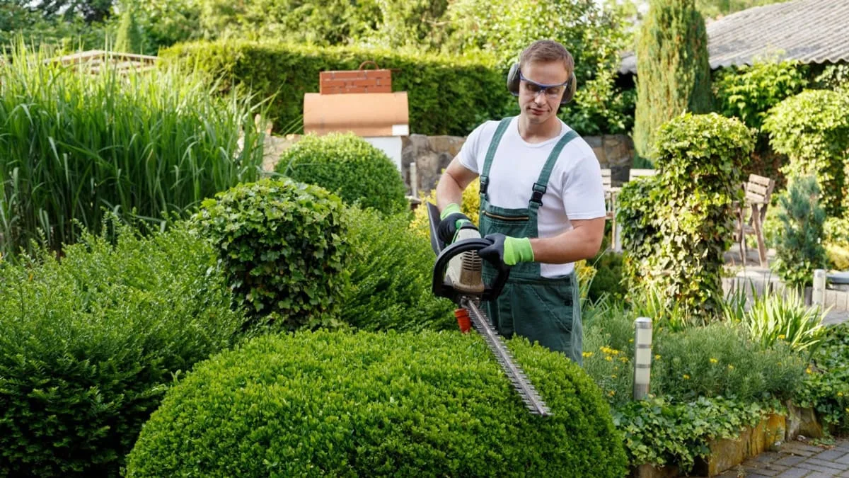 Transformative Outdoor Spaces: Design to Reality